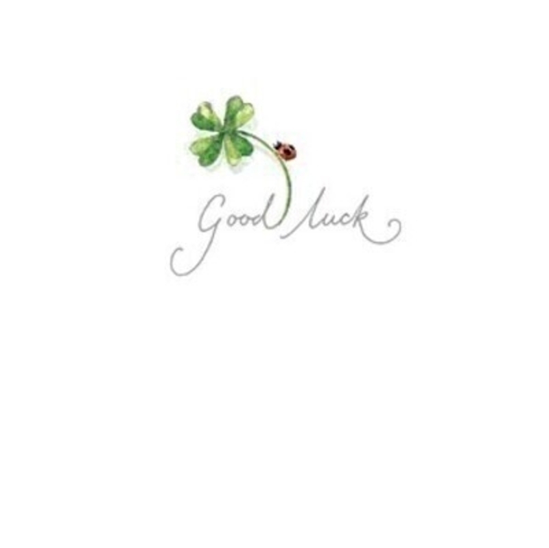 This cute little greetings card from Paper Rose has a four leaf clover and ladybird with Good Luck written on the front. The card is blank inside so you can write your own message and it comes complete with envelope.  A lovely little card to send a Good Luck message. 